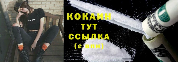 мяу мяу мука Коряжма