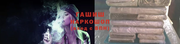 стаф Козельск