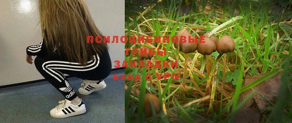 эйфоретик Костерёво