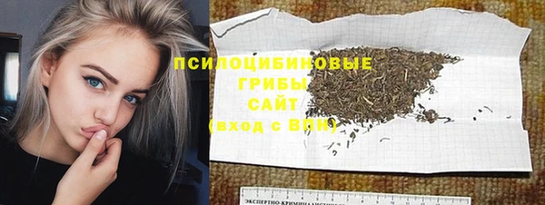 стаф Козельск