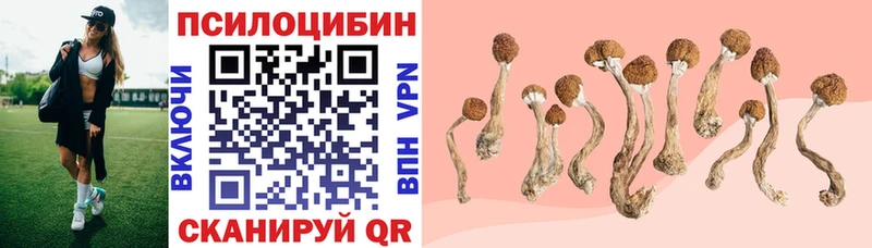 Галлюциногенные грибы мухоморы  Купить закладки  Нижневартовск 
